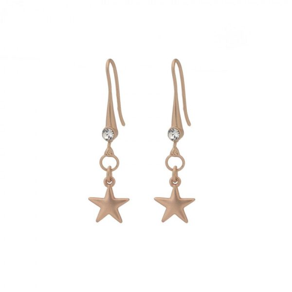 star earring christmas jewelry